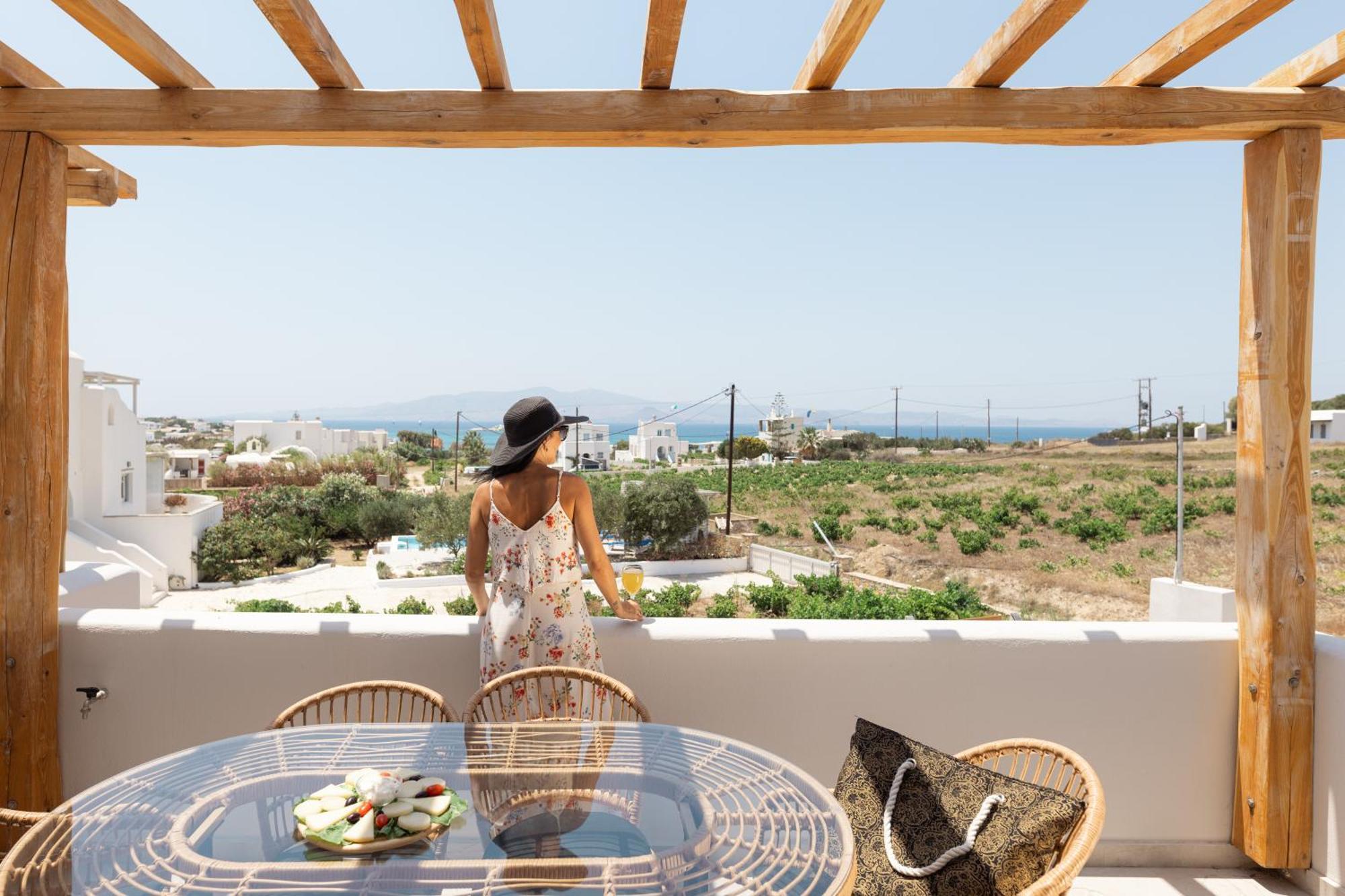 Villa Finest -Seaside Villa With Private Swimming Pool- Mikri Vigla Exterior photo